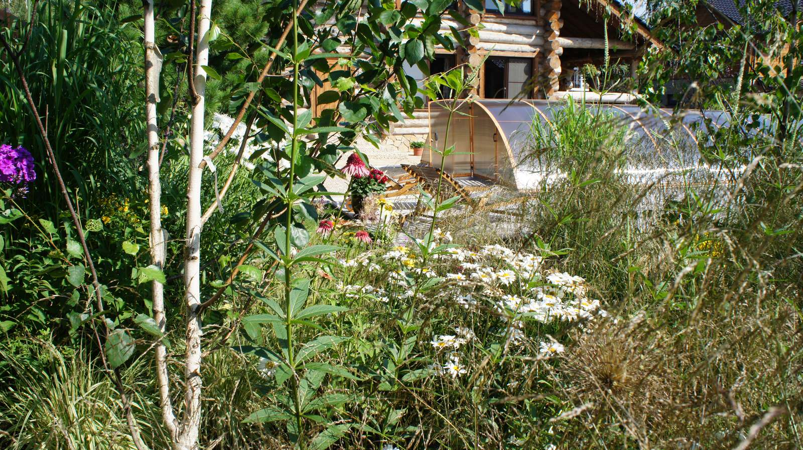 Прохорово лето 2017