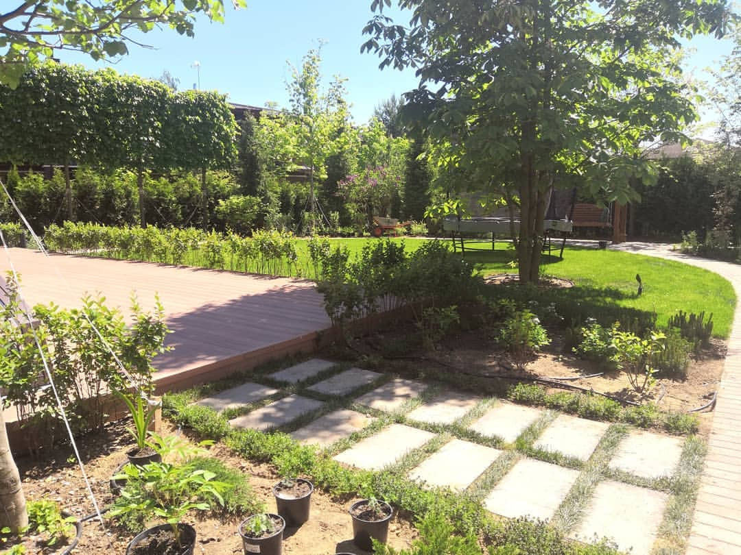 Landscape design of the territory (Moscow region)