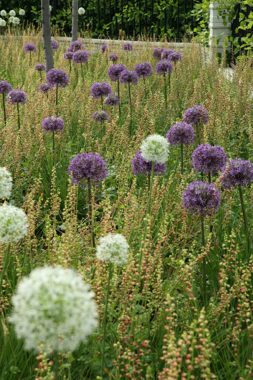 Северо-Запад