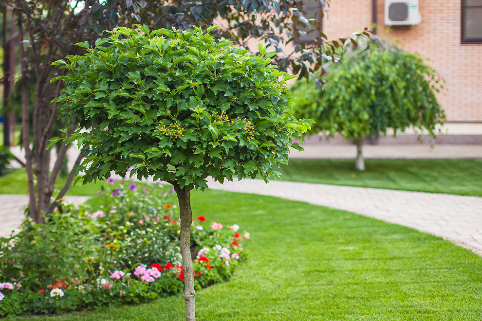 ландшафтный дизайн 2