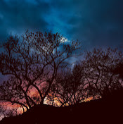 Кристина_ Годунова