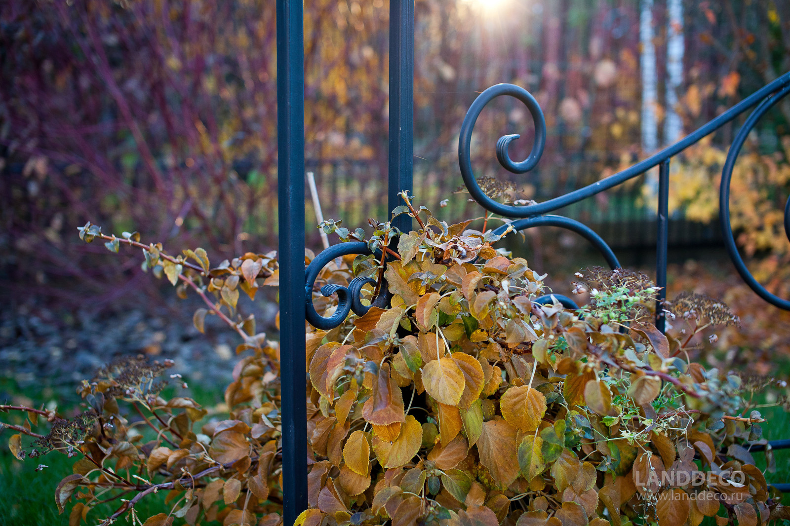 LANDDECO | Екатерина Жукова