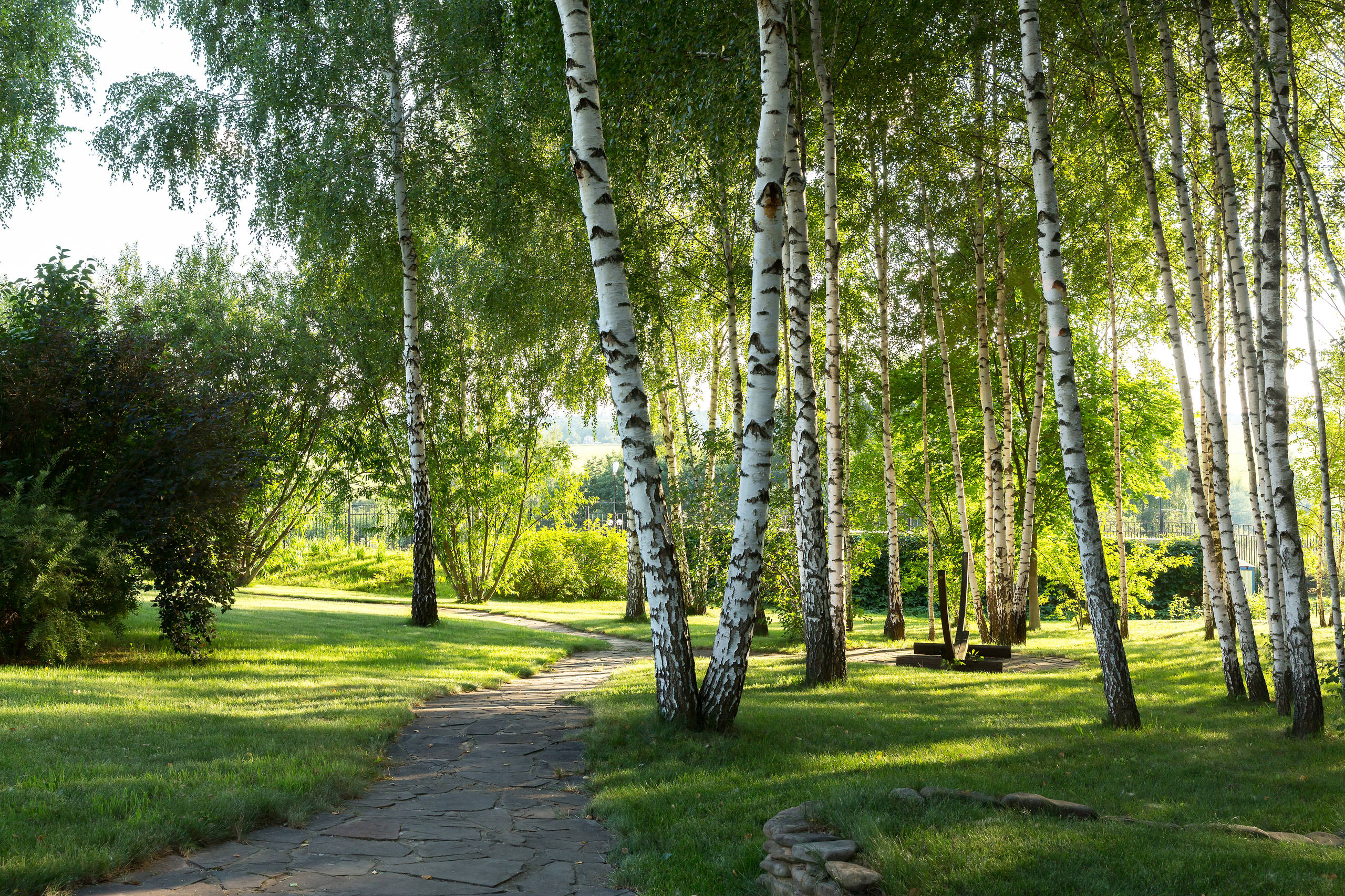В гостях: Благородный прованс на даче финансиста
