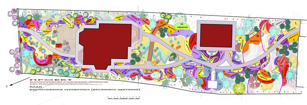 Ландшафтный проект дачного участка - план высадки цветников из луковичных.