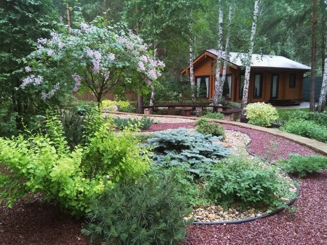 У леса на опушке