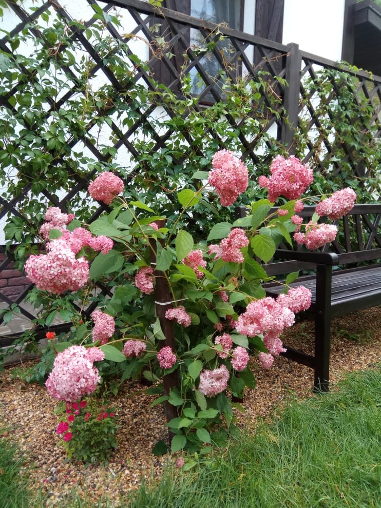 Сад в Рожновке