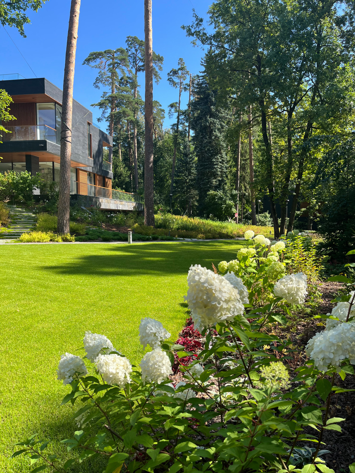 Петрово-Дальнее