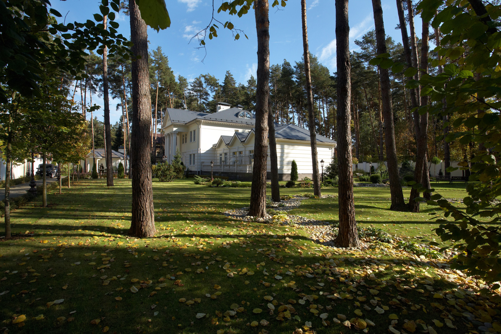 Каменистые ленты