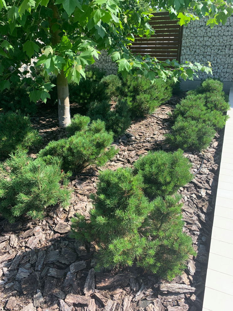 Современный сад для семьи