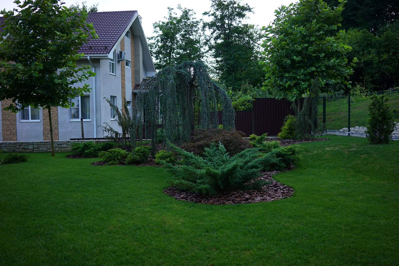 Лазурный Берег Сочи