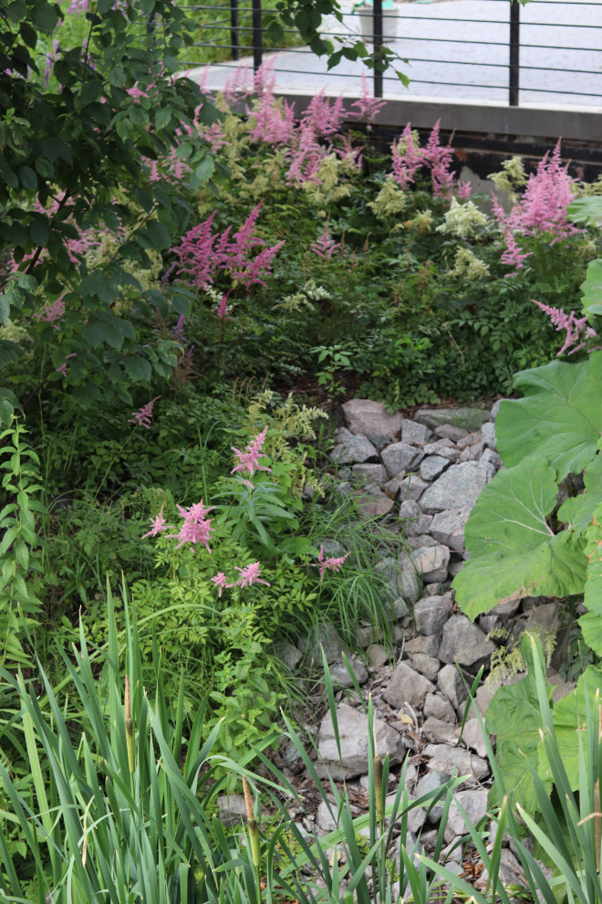 WB Берег пруда (май,июнь)