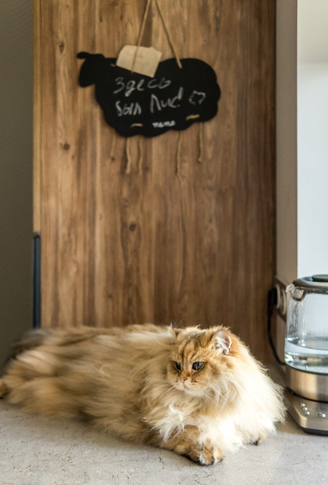 В гостях: Квартира для кота Лиса и молодой семьи