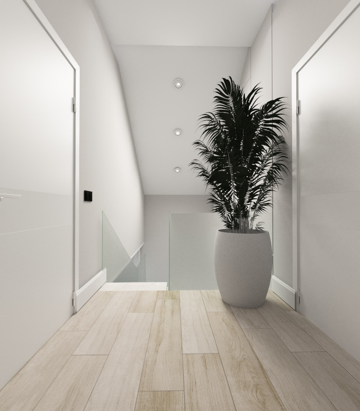 Частный дом для молодого человека.