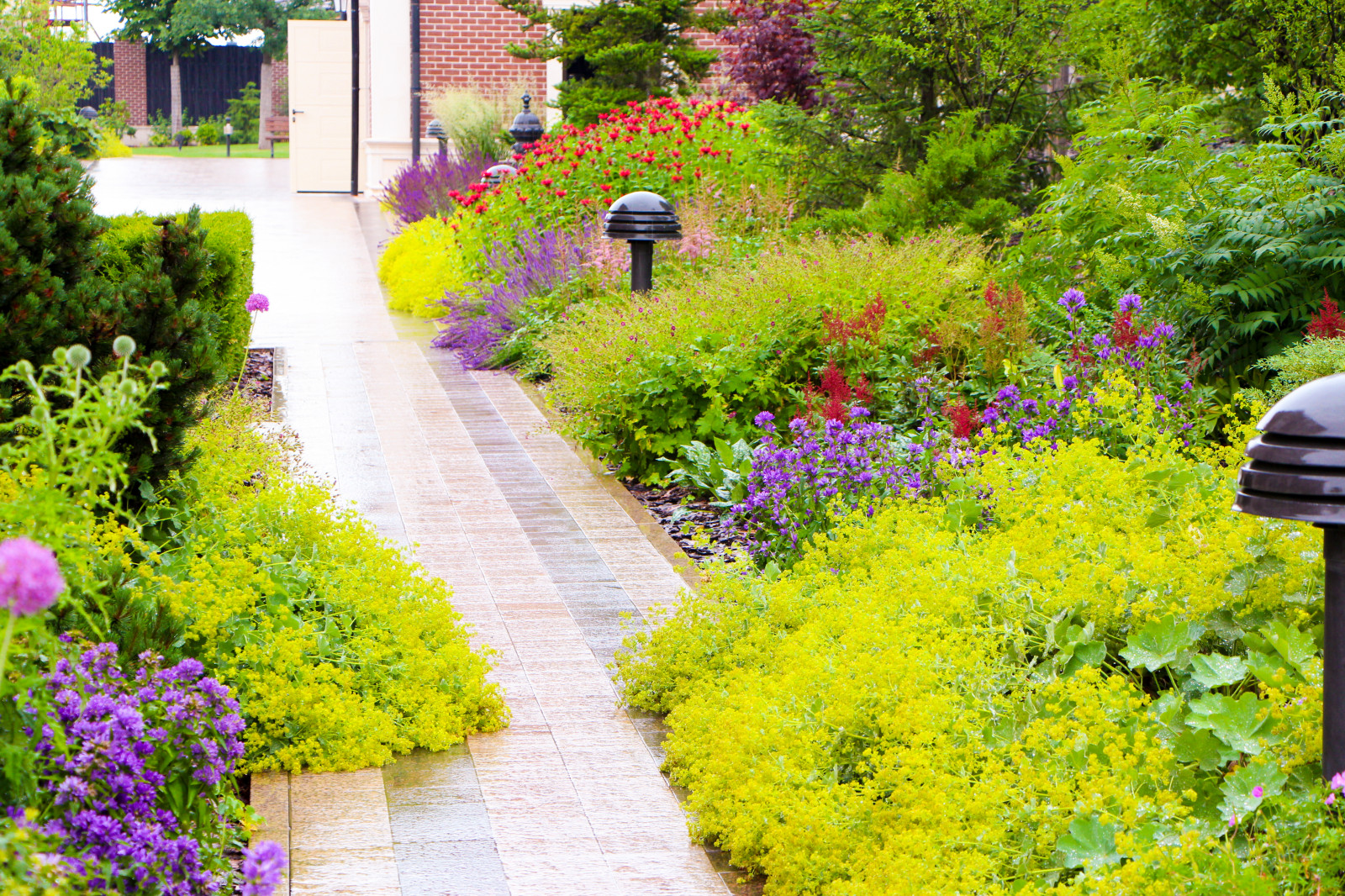 Горки-10, 2017-2020 г.г.