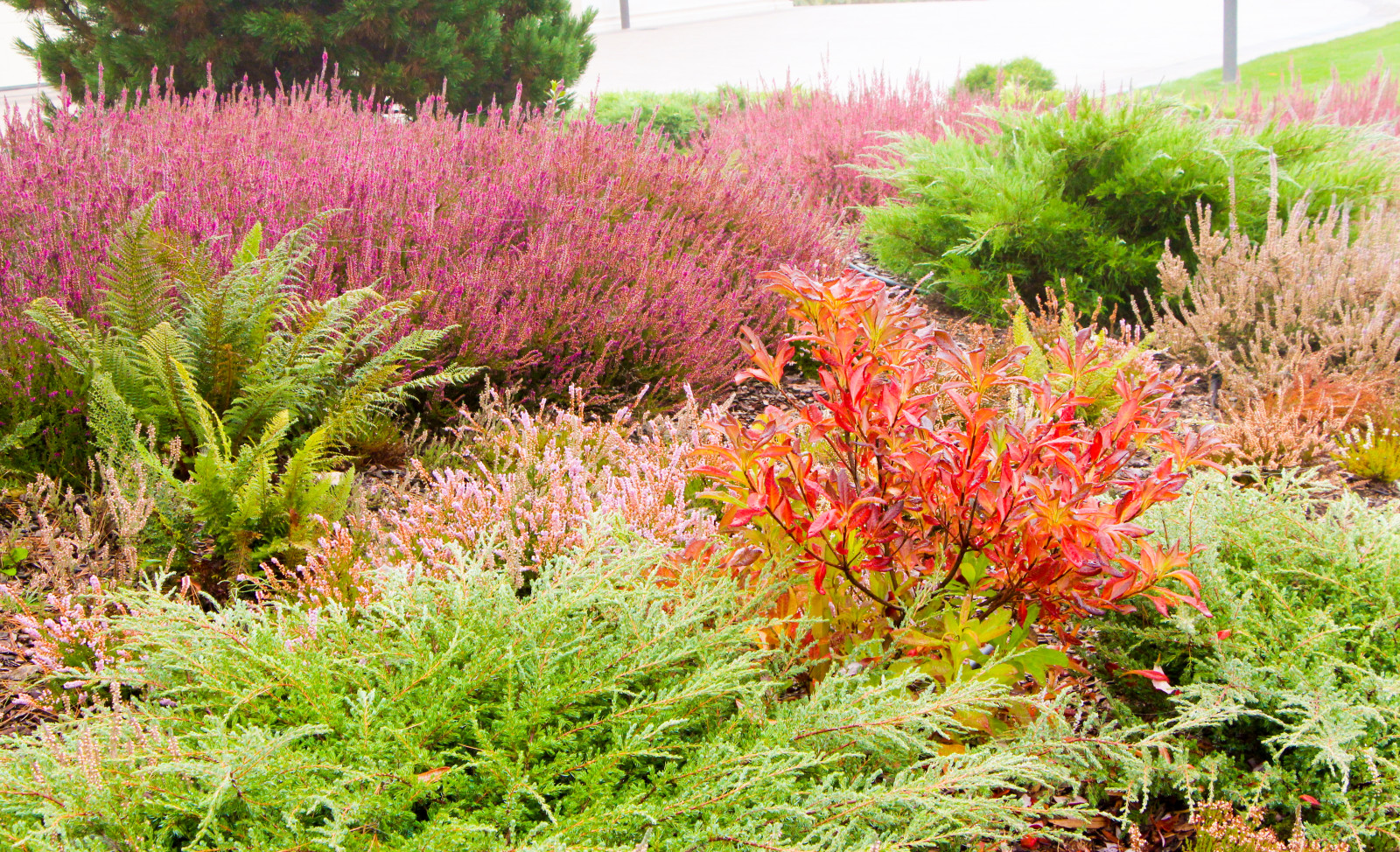 Горки-10, 2017-2020 г.г.