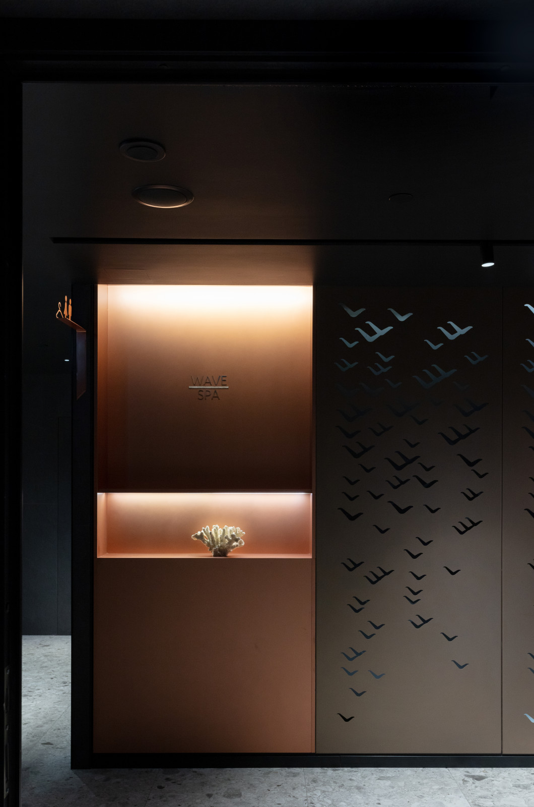 Гостиница «Mövenpick»