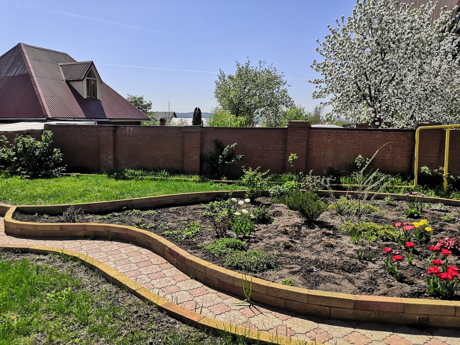 Рокарий для коллекции растений