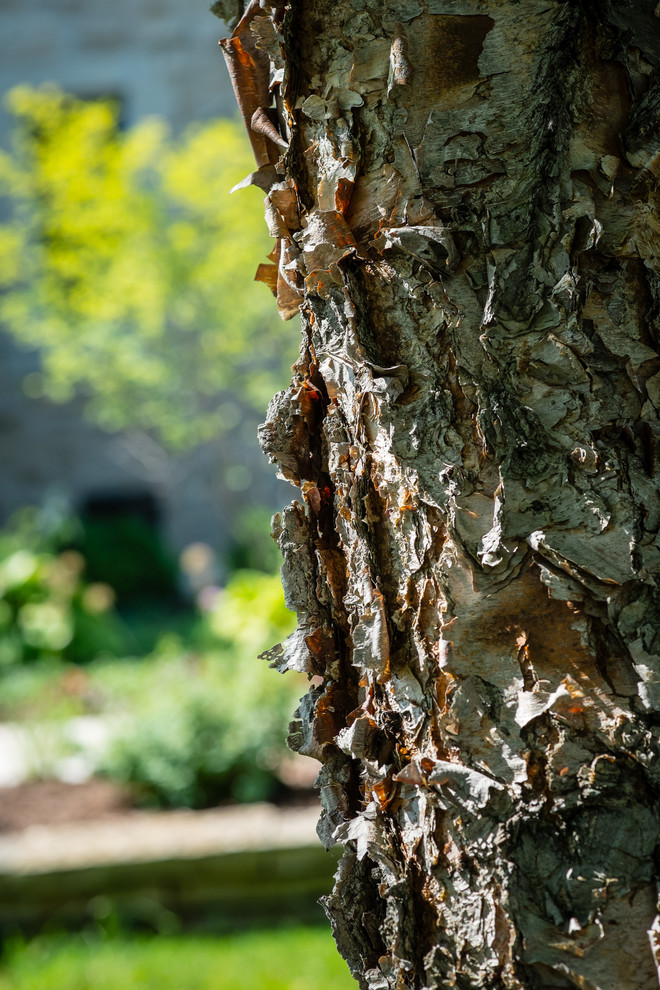 Как правильно: Заказывать растения в европейских питомниках