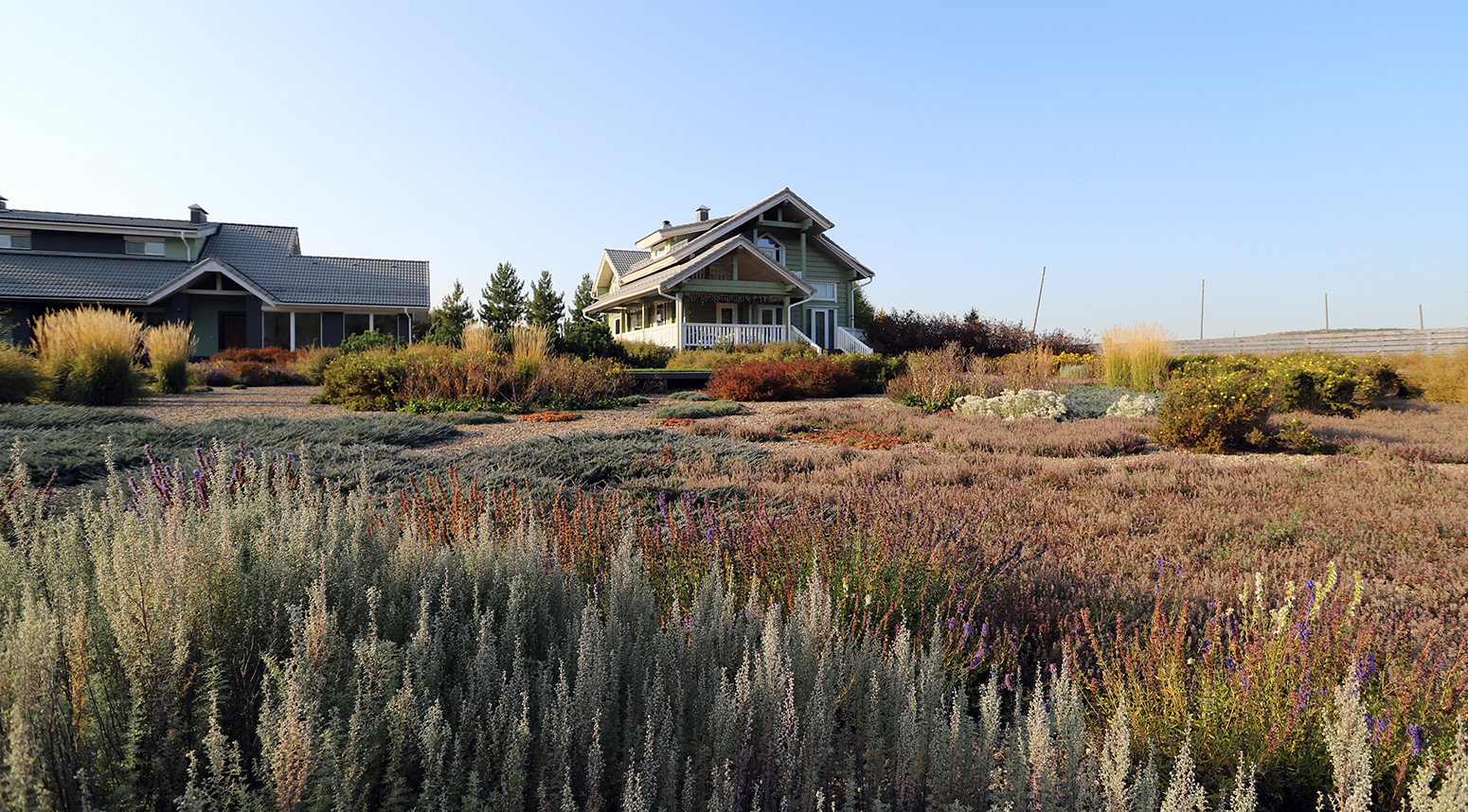 Полынный берег. Новые снимки