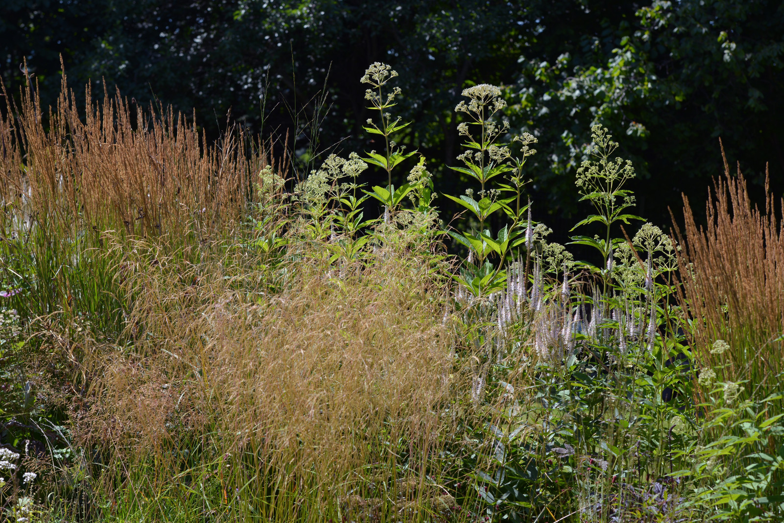 В духе ретро