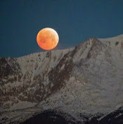 Оля Шершицкая