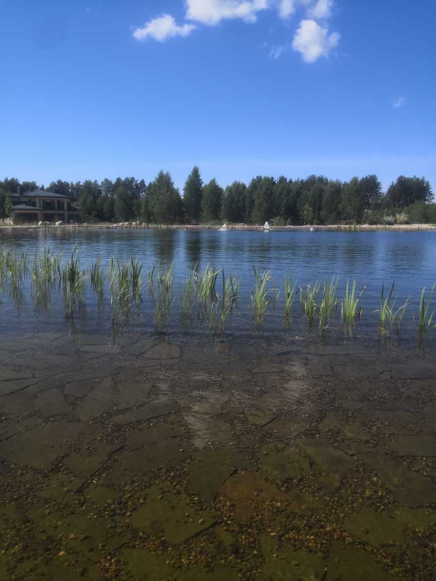 Декоративный водоём в п. Репино (Лен. обл.)