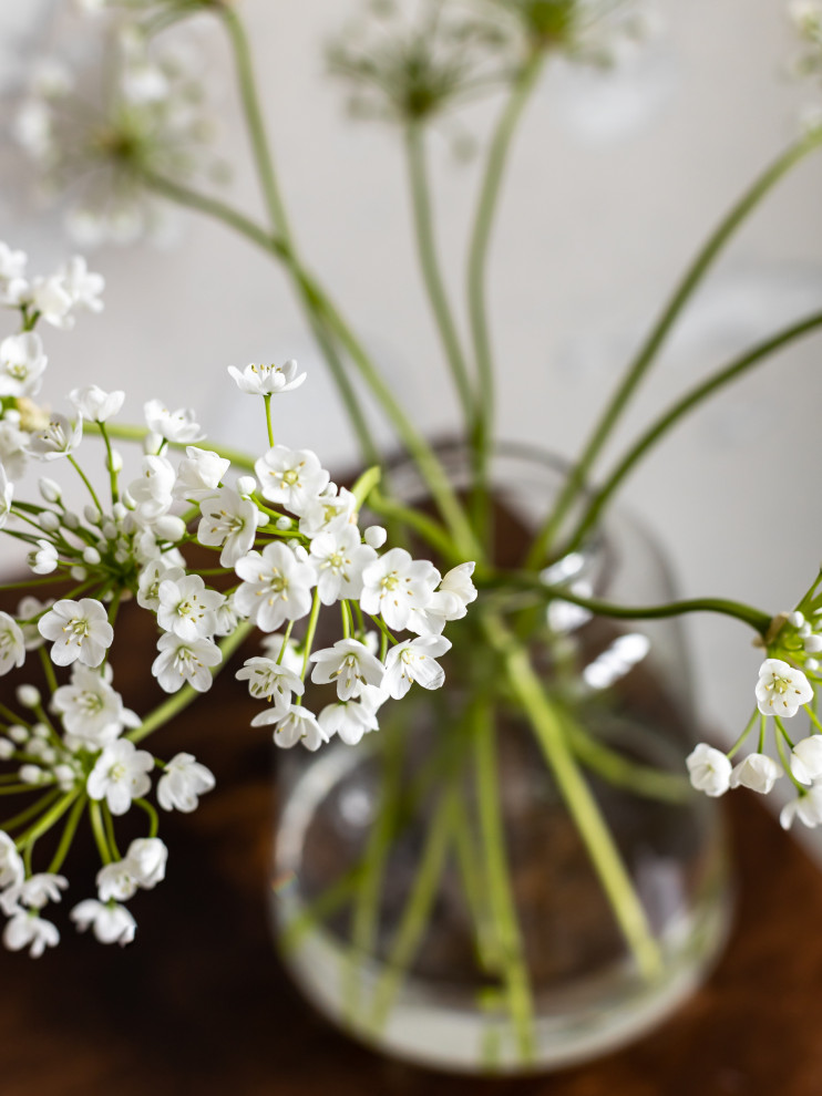 Квартира 100кв.м.