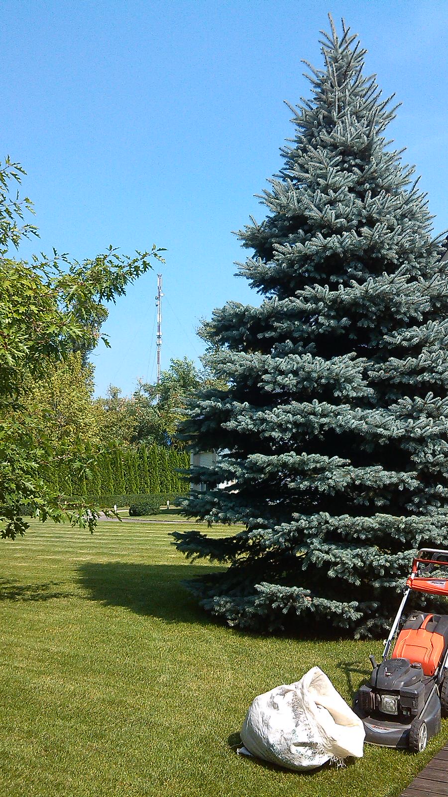 Строгость мужского ландшафта