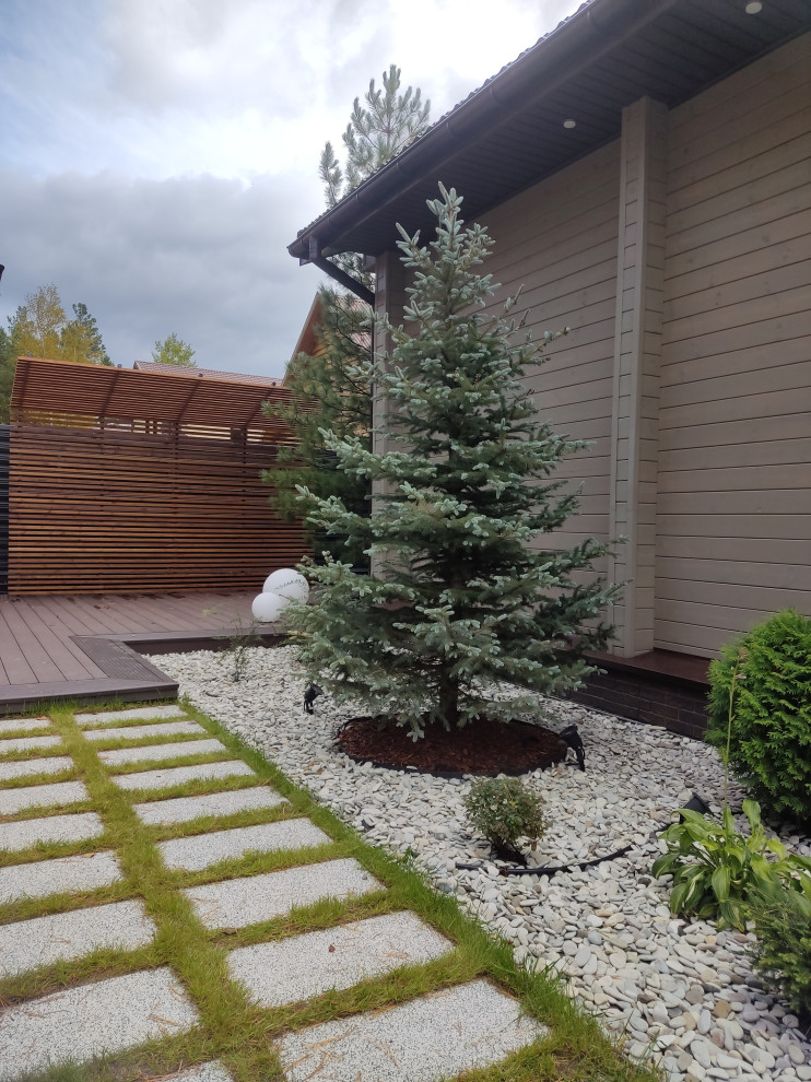 Денис Светлый Яр