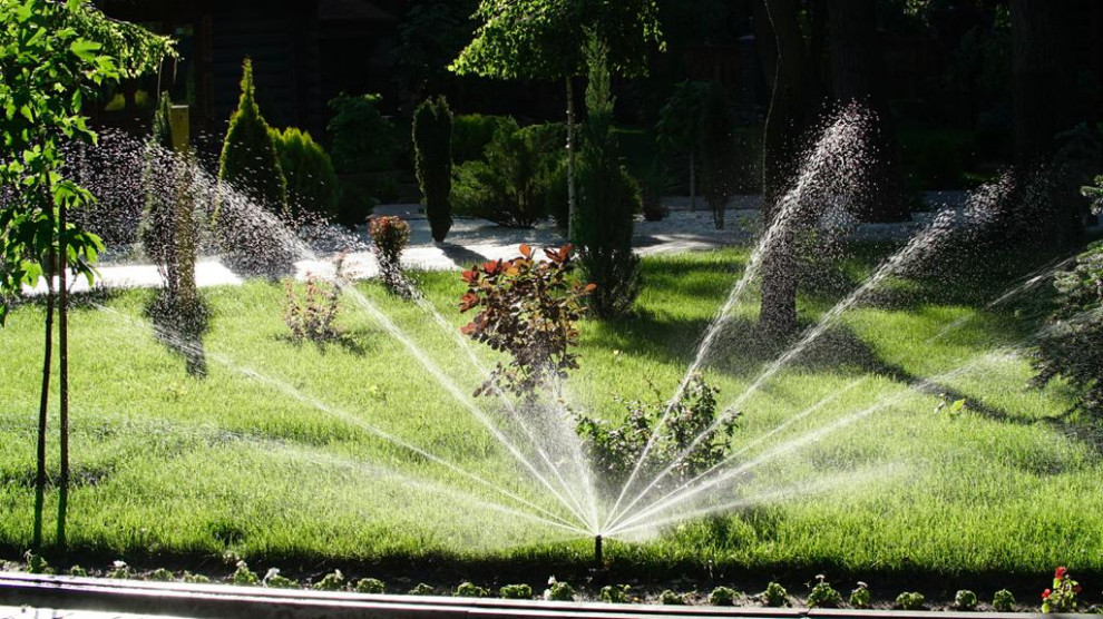 Парк Лога (Ростовская область)