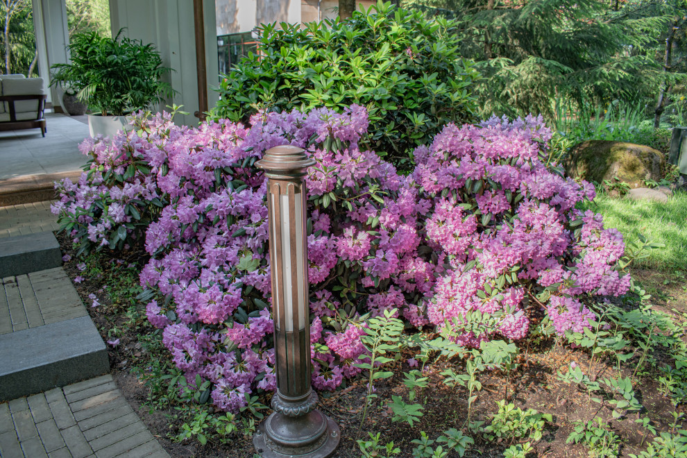 Тенистый сад