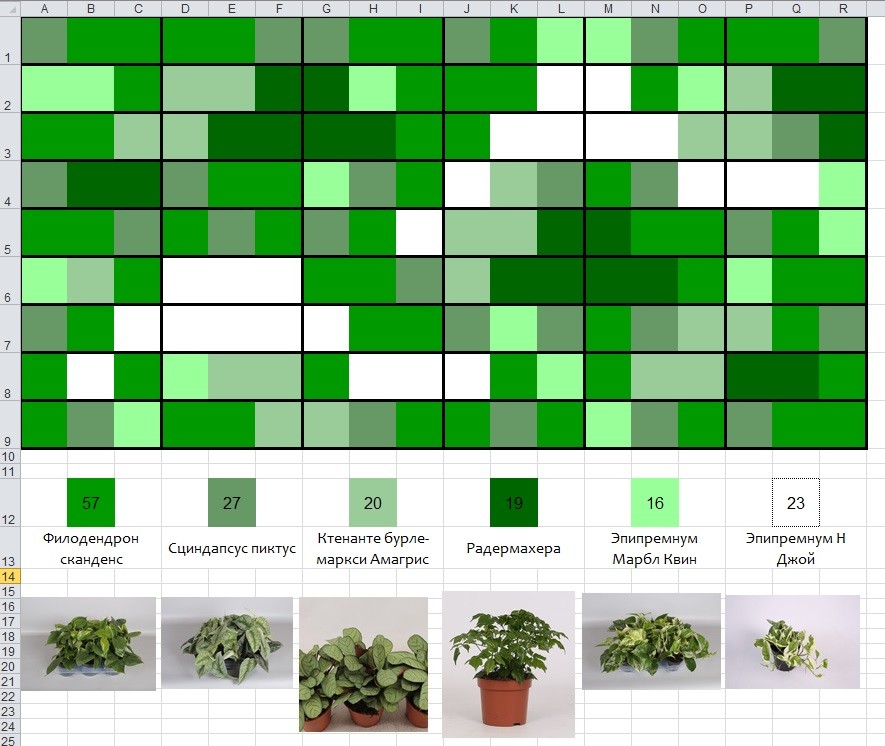 Обложка проекта: вертикальное озеленение , подвесная фитостена
