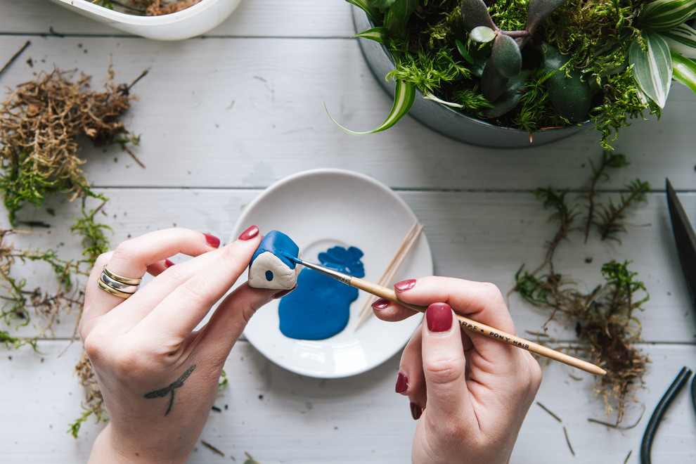 DIY: Как вырастить бонсай в домашних условиях