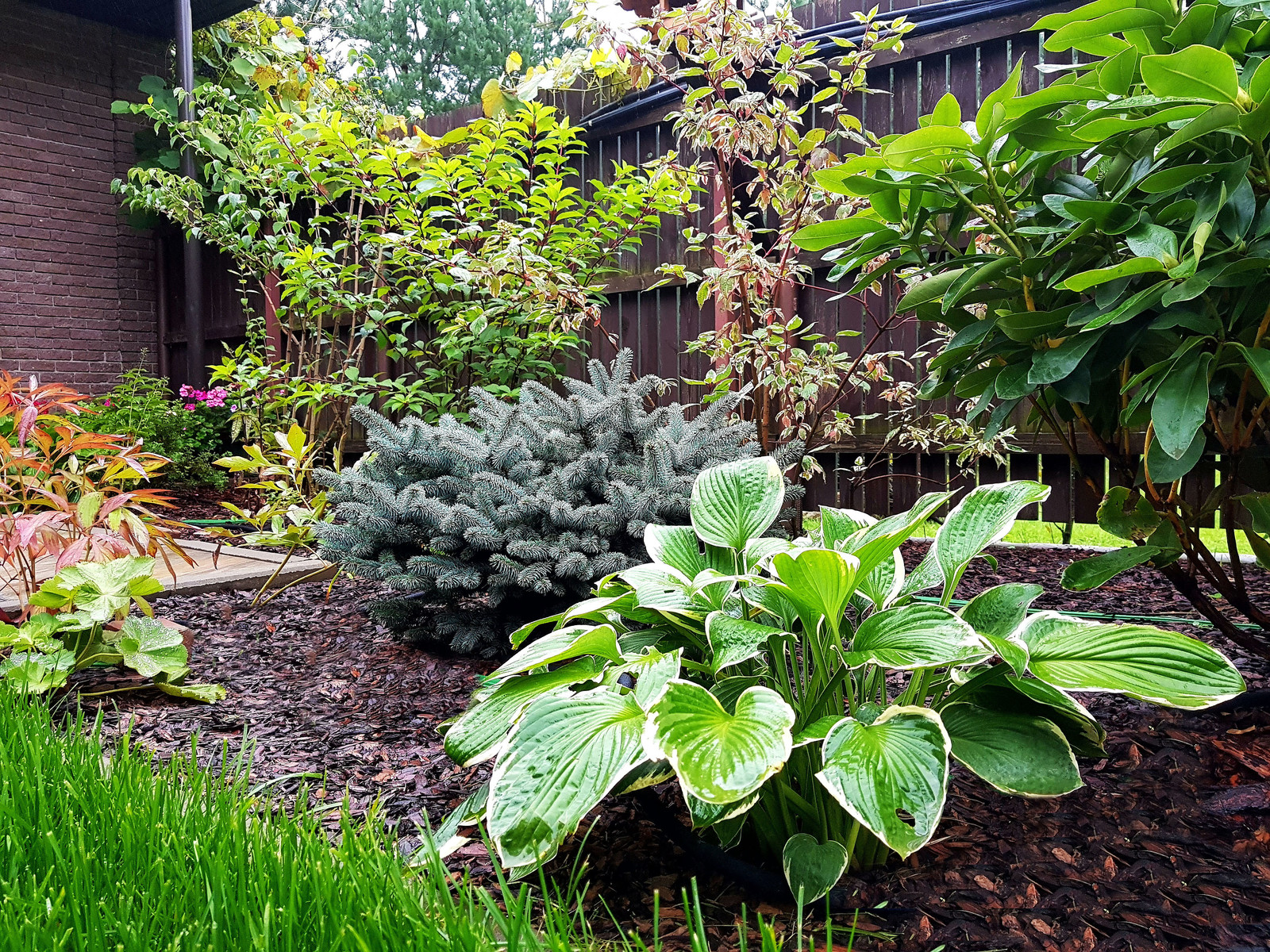 Обложка проекта: КП Трехгорка