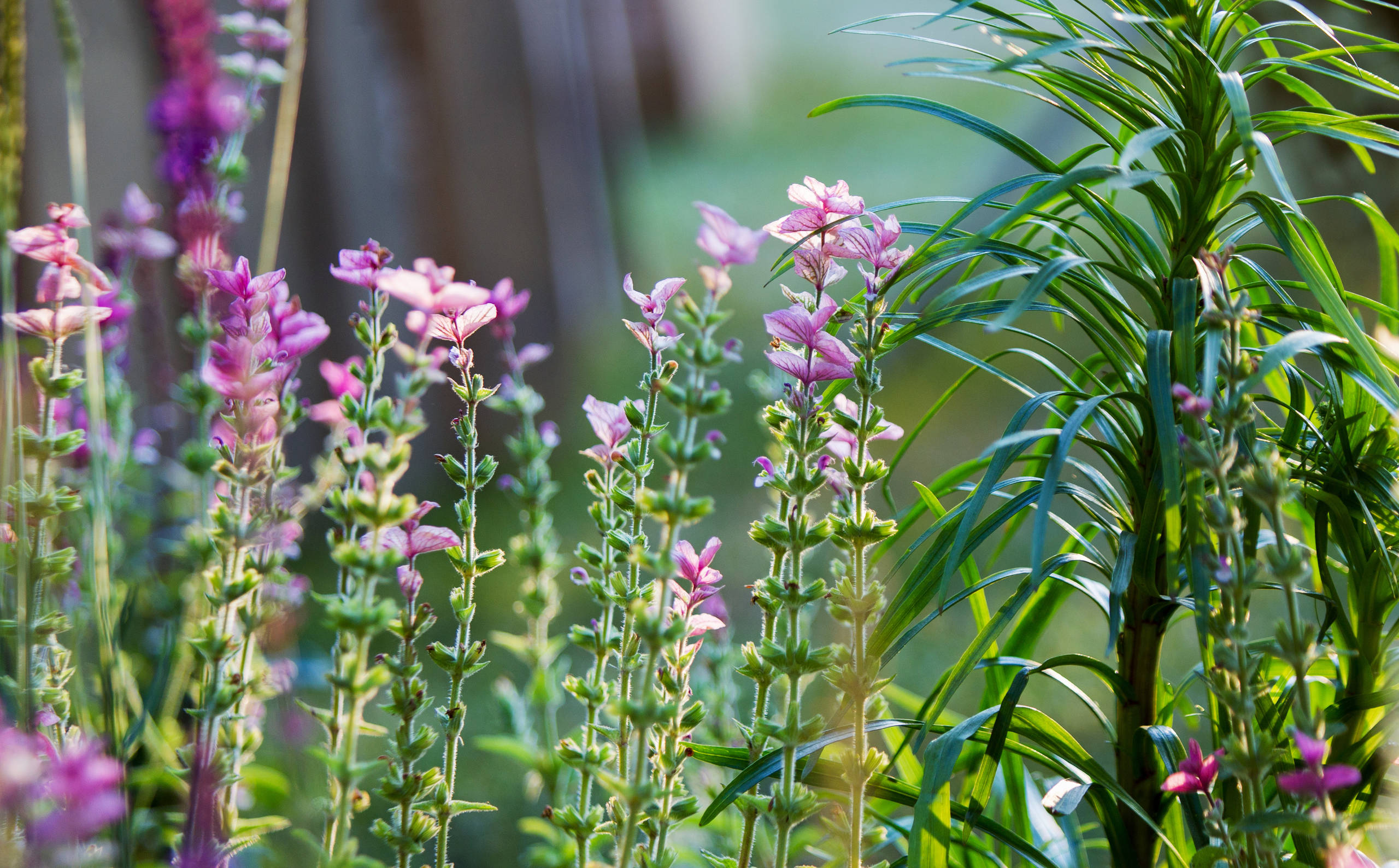Проект недели: Французский сад на выставке в Москве
