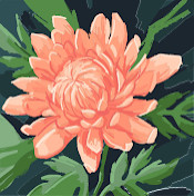 Анастасия Кинешева