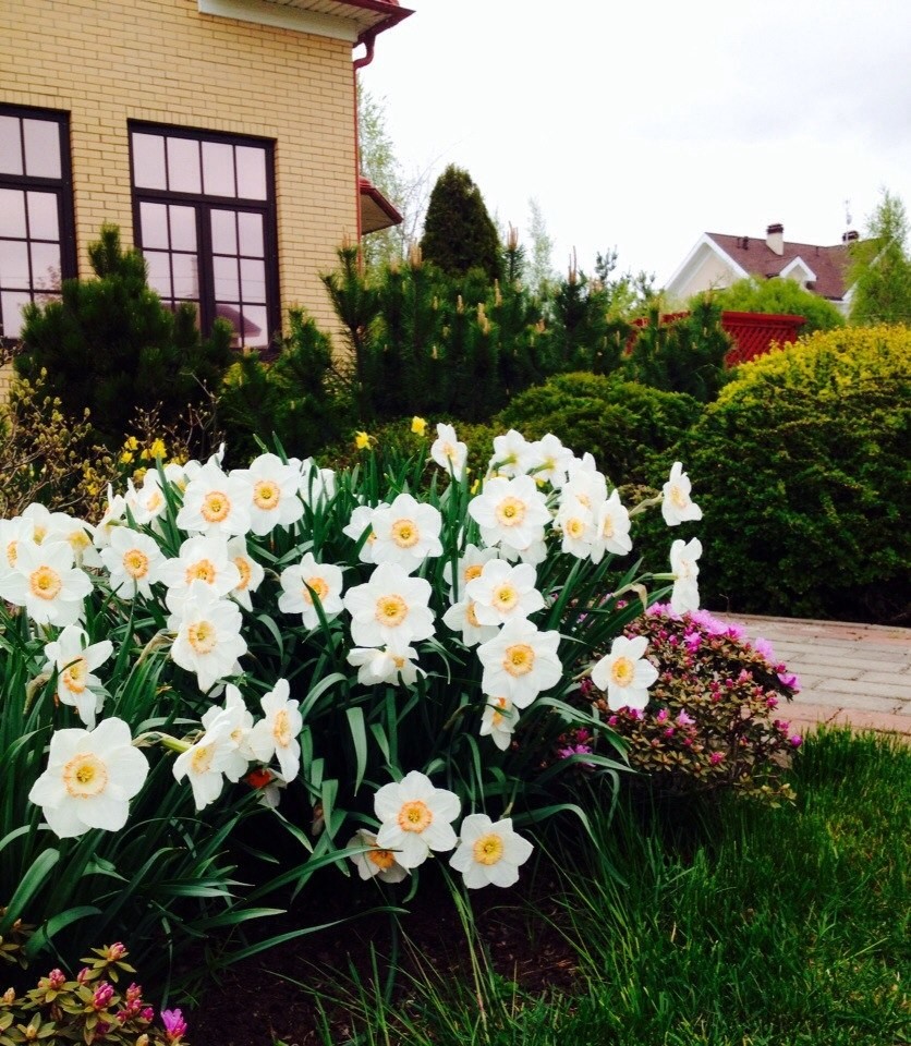 Фото выполненных работ