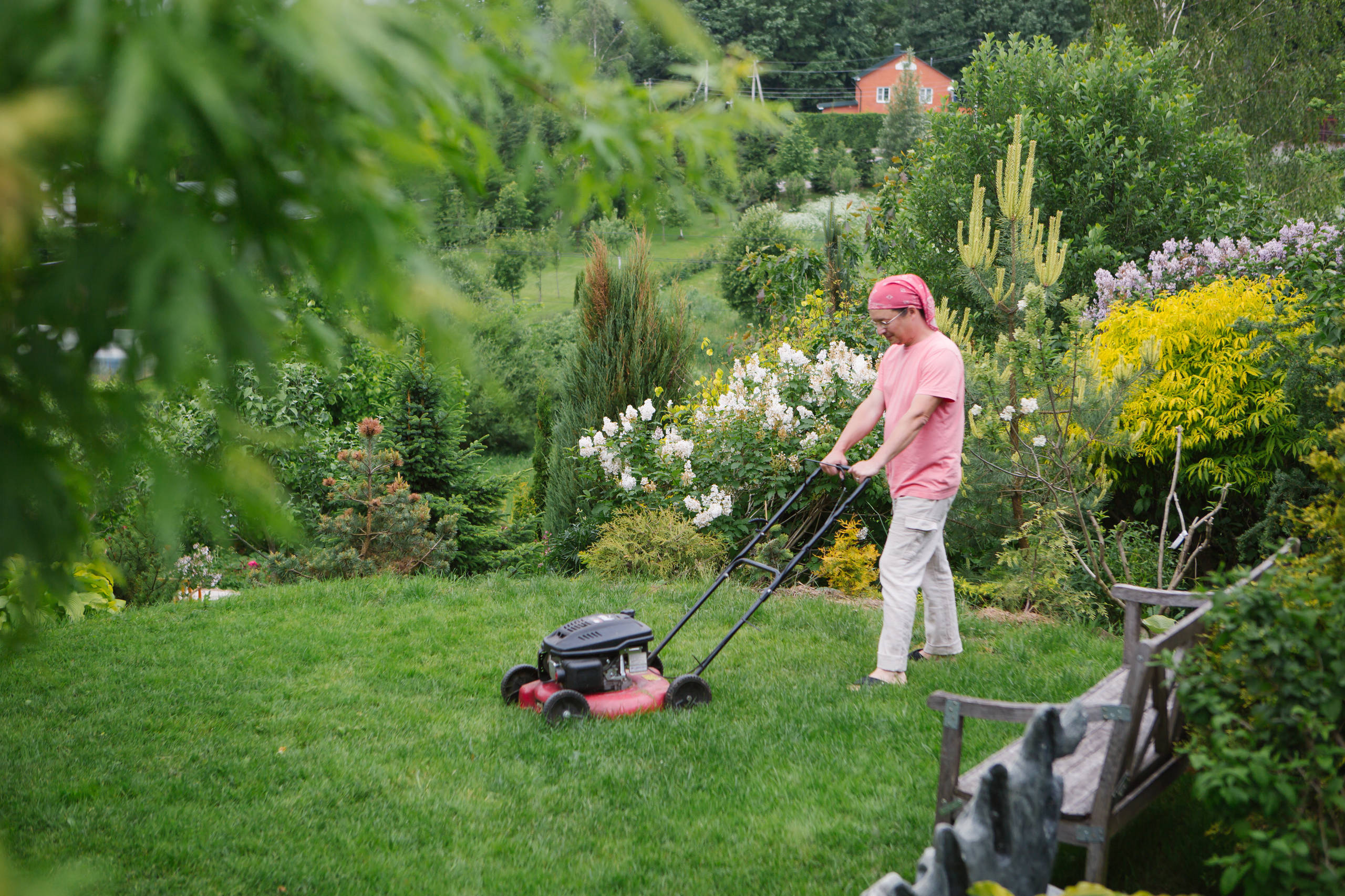 Как правильно: Привести в порядок запущенный участок