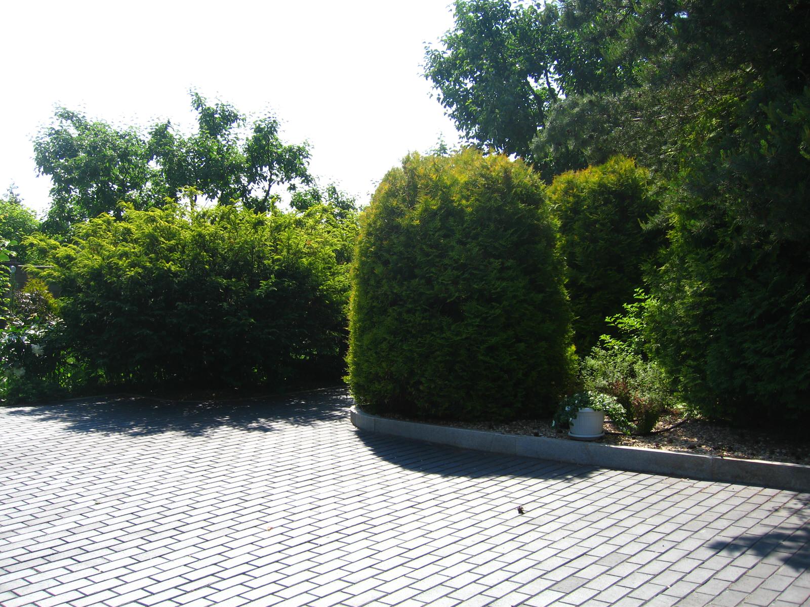 Сад в английском стиле