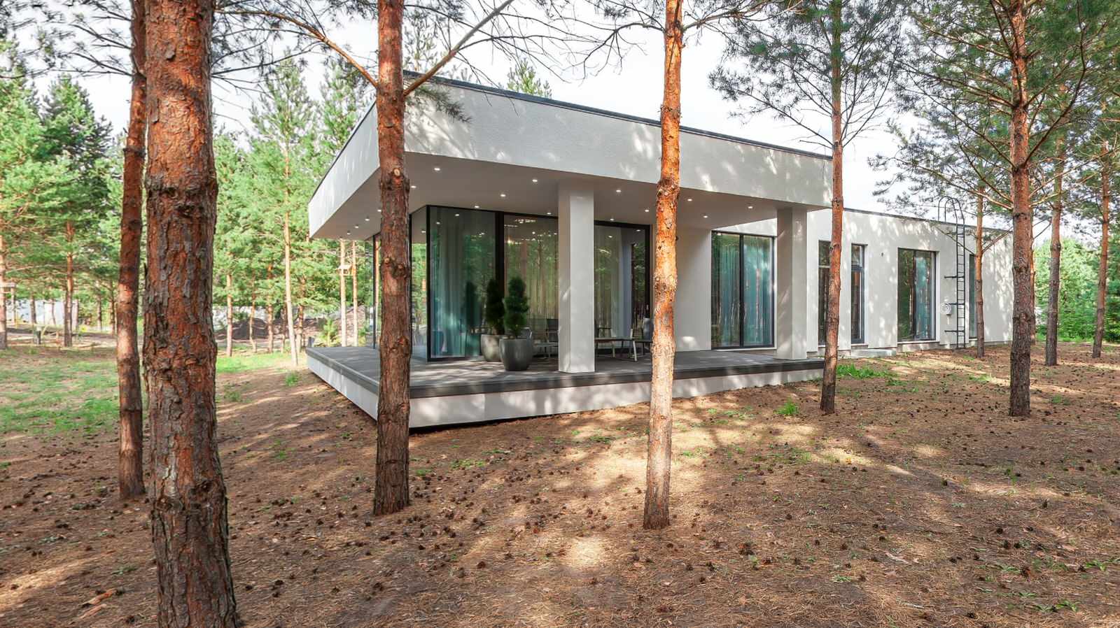 Новые Вешки