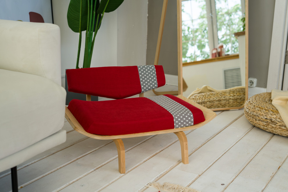 Обложка проекта: Дизайнерская мебель для собак и кошек - модель ANTY