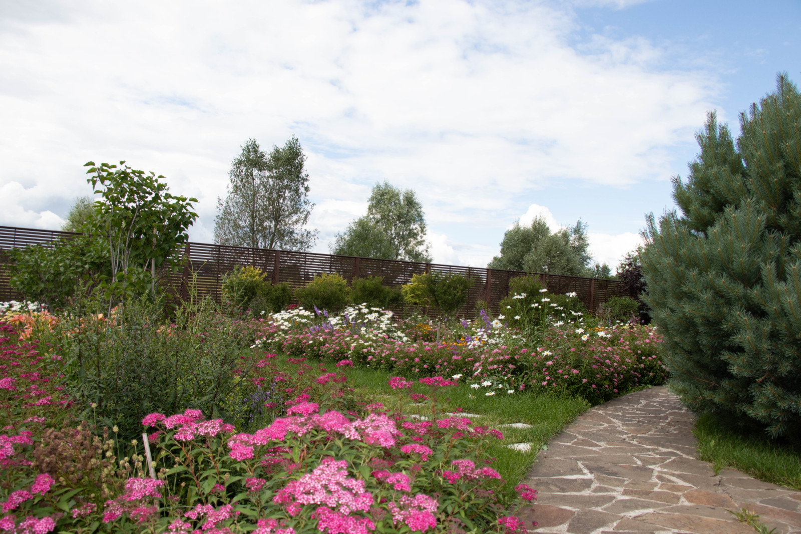 Сосновые берега