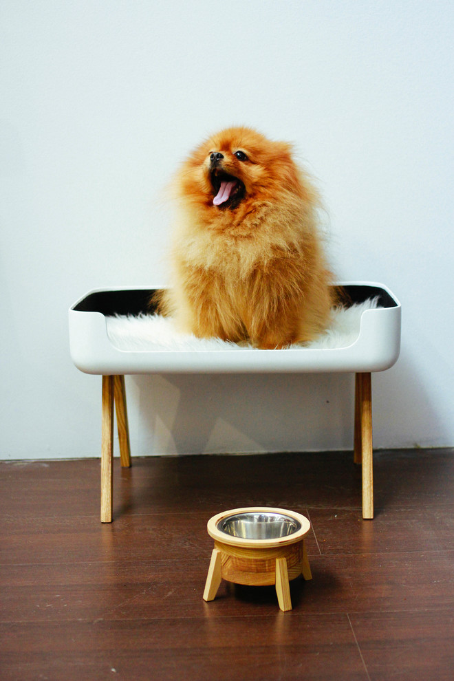 Портрет: Сергей Семенов и его «прекрасные объекты» Fineоbjects