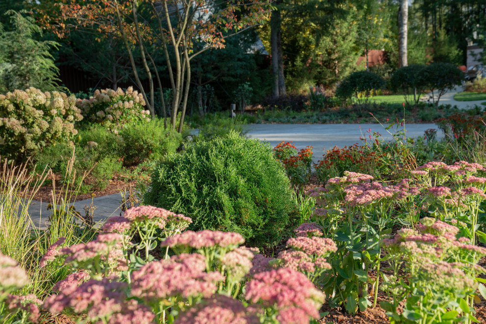 Круговорот цвета. Дубровка 2021