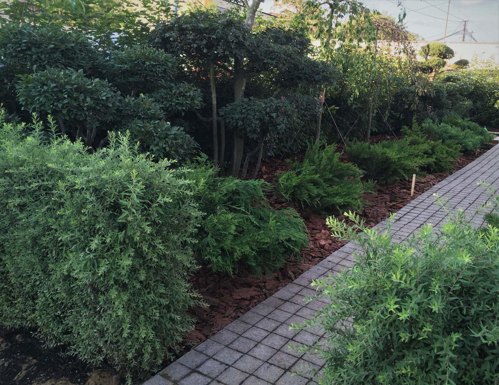 Обложка проекта: ПЭК