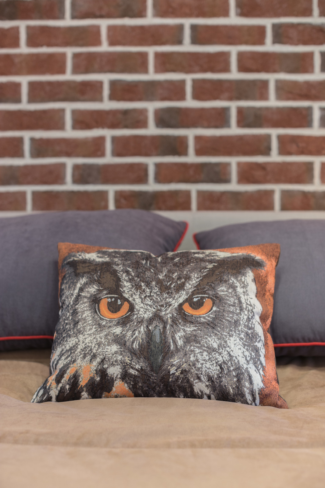 Лофт для молодого человека