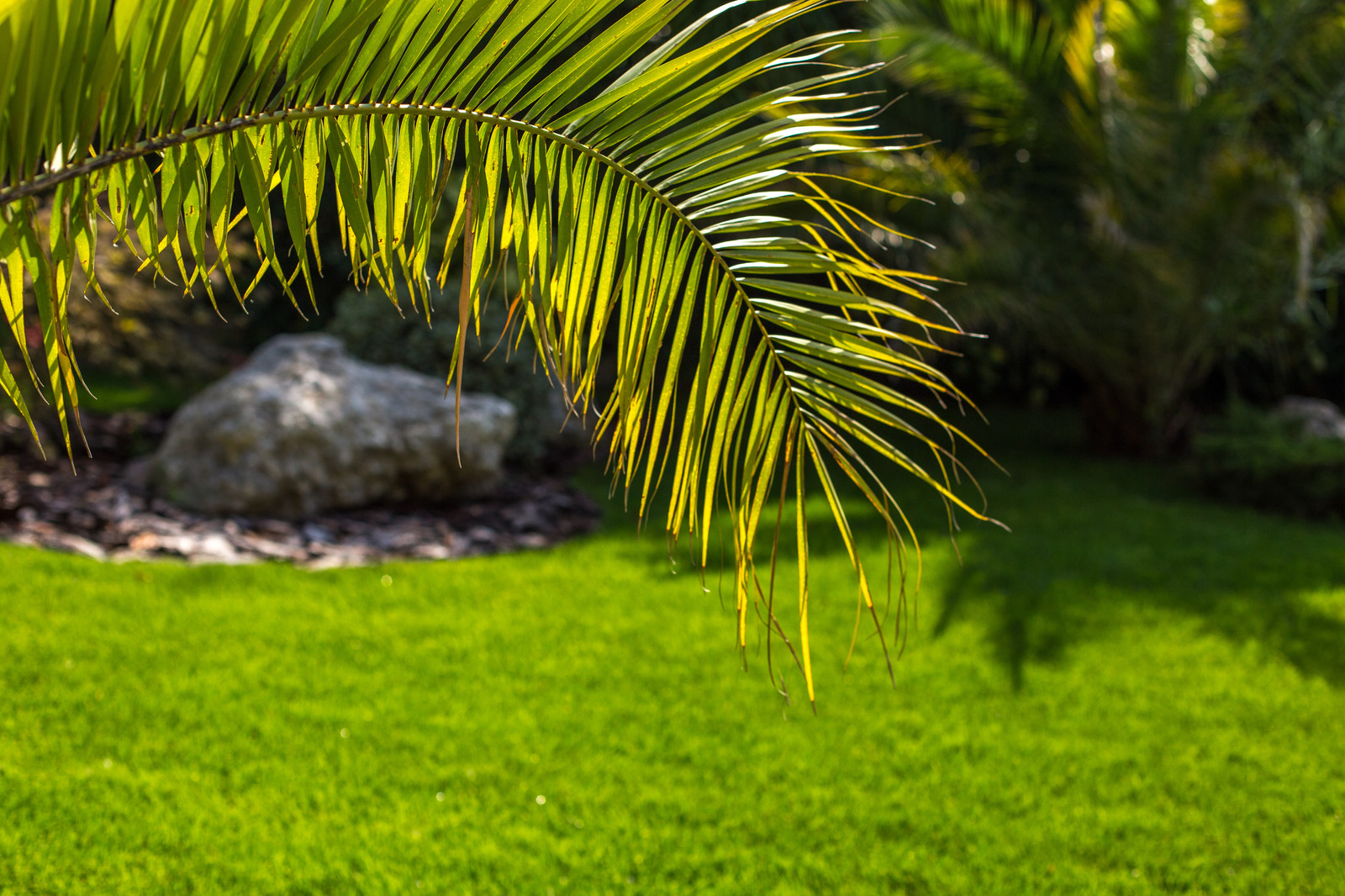 Ландшафтный Дизайн Олимпийский Сочи