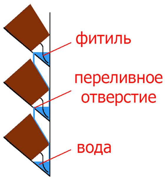 Азбука цветовода: Как выбрать фитомодуль для вертикального сада