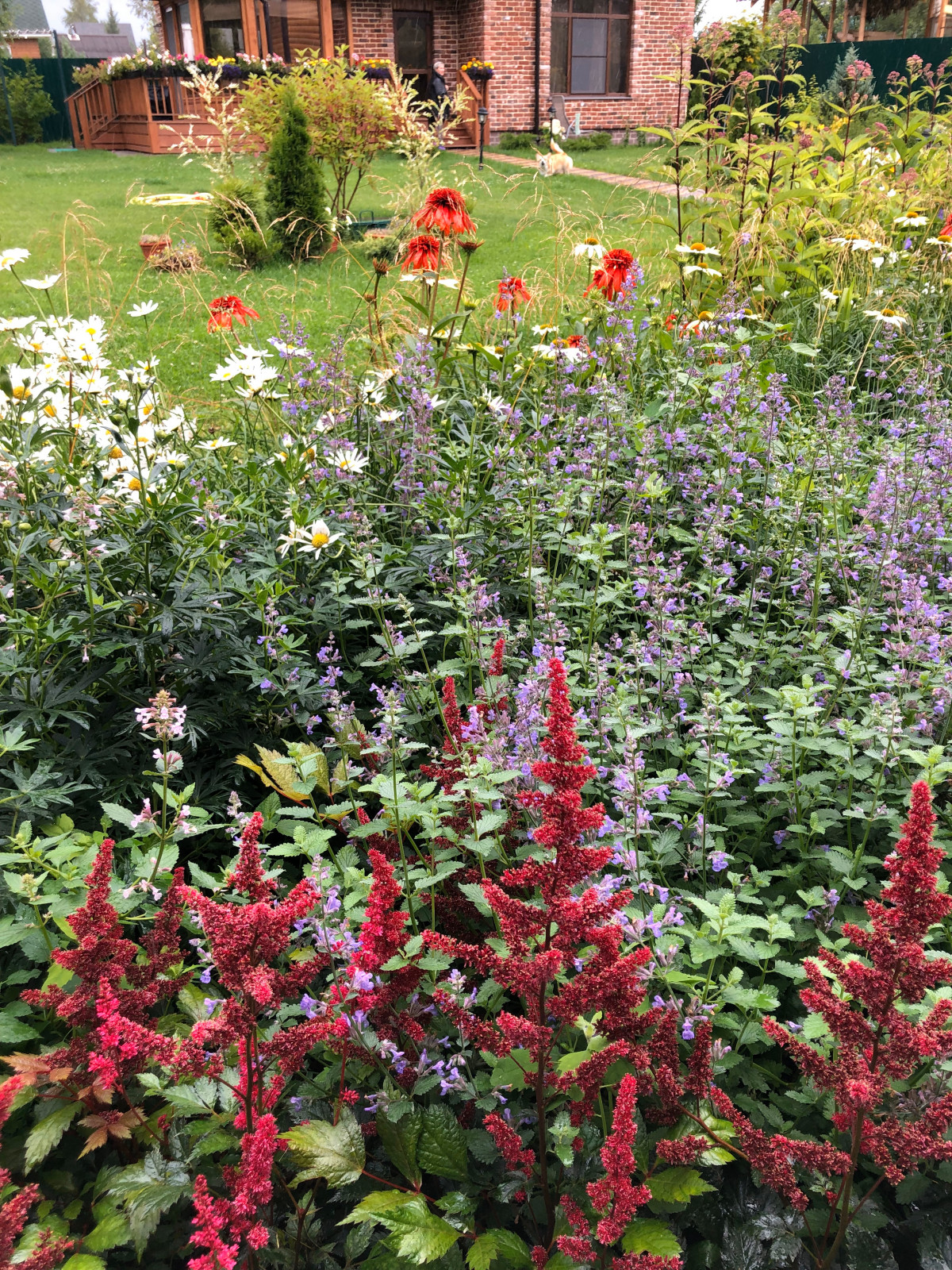 Обложка проекта: Цветник