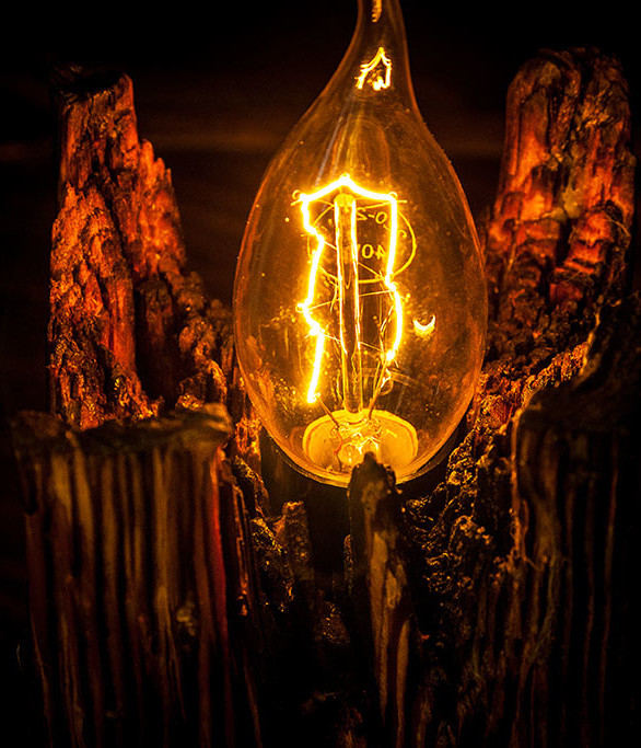 Портрет: WOOD WORKS – 8 мастерских, которые работают с деревом